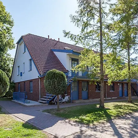 Papillon 07-3 Boltenhagen