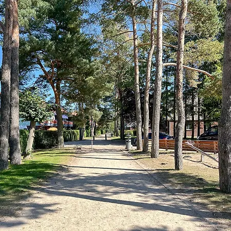 Papillon 07-3 * Boltenhagen